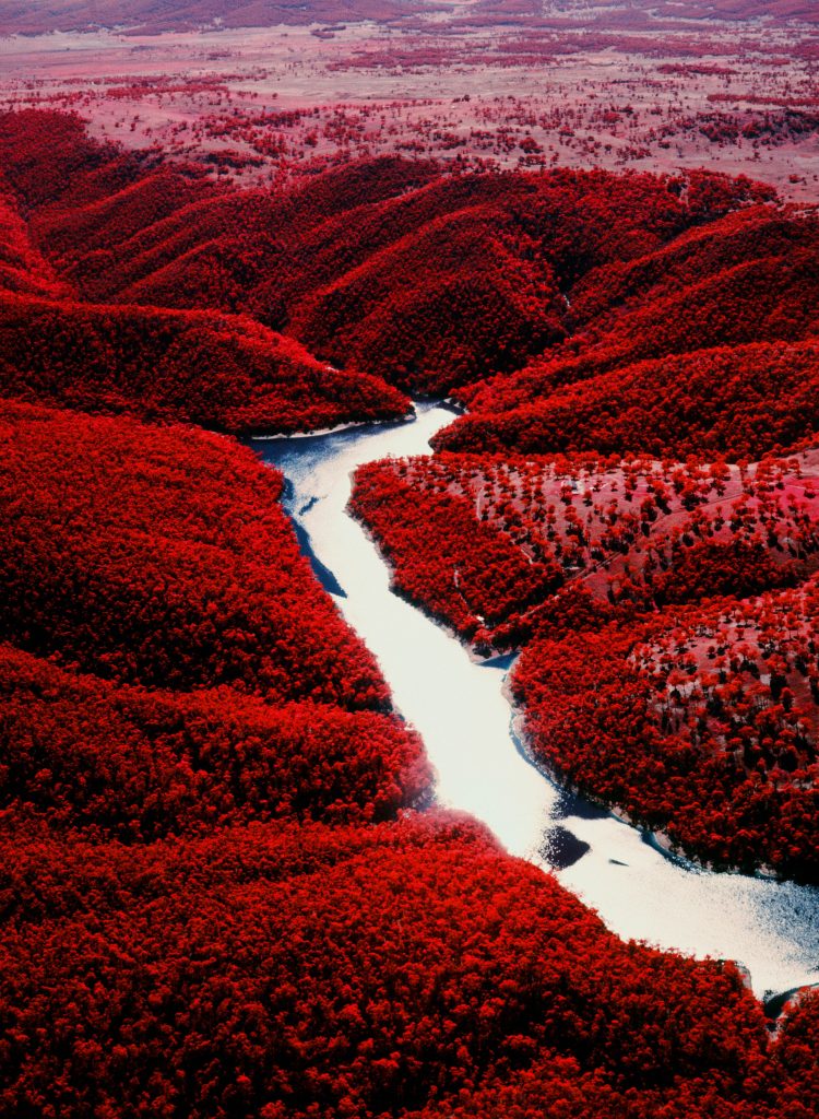 The Bush Like You’ve Never Seen Before | Infrared Colour Film | Rob Walwyn | Phelt Pheatures